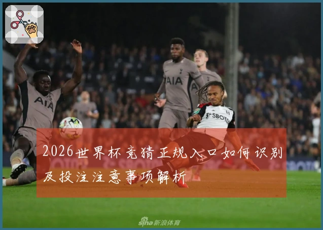 2026世界杯竞猜正规入口如何识别及投注注意事项解析