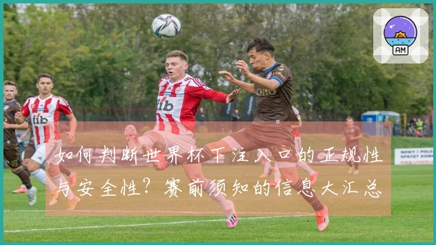 如何判断世界杯下注入口的正规性与安全性？赛前须知的信息大汇总