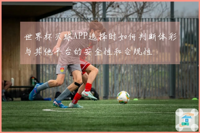 世界杯买球APP选择时如何判断体彩与其他平台的安全性和合规性