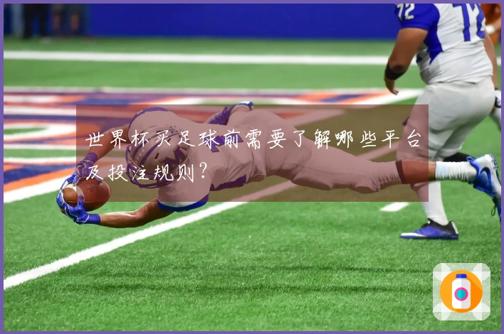 世界杯买足球前需要了解哪些平台及投注规则？