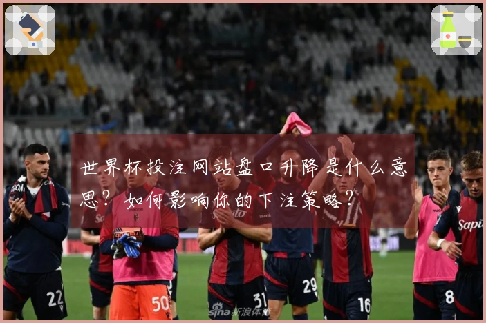 世界杯投注网站盘口升降是什么意思？如何影响你的下注策略？