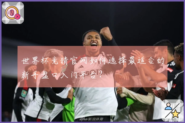 世界杯竞猜官网如何选择最适合的新手盘口入门平台？
