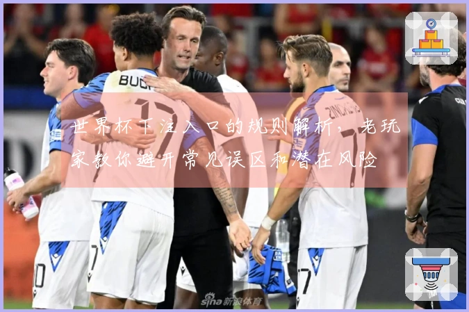 世界杯下注入口的规则解析，老玩家教你避开常见误区和潜在风险