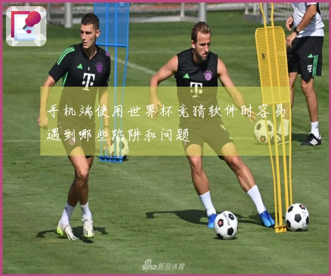 手机端使用世界杯竞猜软件时容易遇到哪些陷阱和问题