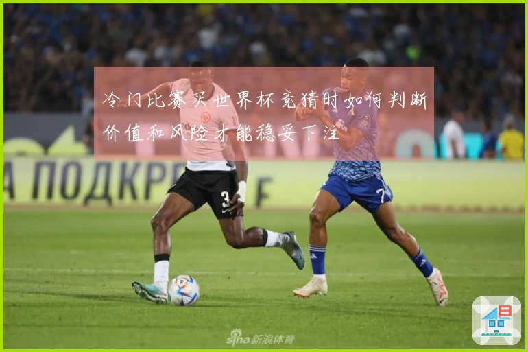 冷门比赛买世界杯竞猜时如何判断价值和风险才能稳妥下注