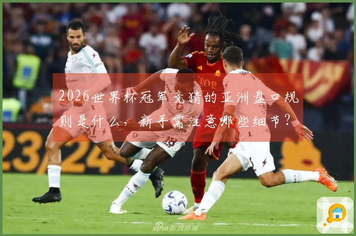 2026世界杯冠军竞猜的亚洲盘口规则是什么，新手需注意哪些细节？