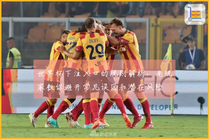 世界杯下注入口的规则解析，老玩家教你避开常见误区和潜在风险