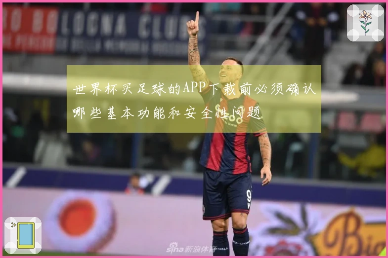世界杯买足球的APP下载前必须确认哪些基本功能和安全性问题