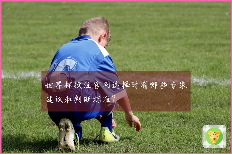 世界杯投注官网选择时有哪些专家建议和判断标准？