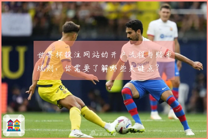 世界杯投注网站的开户流程与赔率规则，你需要了解哪些关键点？