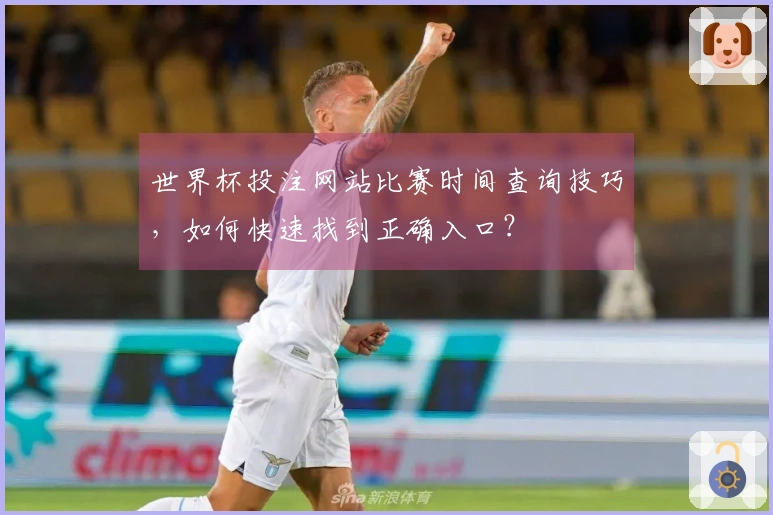 世界杯投注网站比赛时间查询技巧，如何快速找到正确入口？