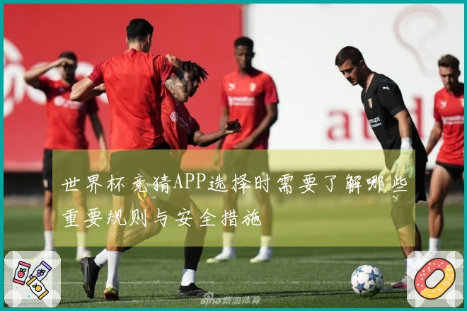 世界杯竞猜APP选择时需要了解哪些重要规则与安全措施