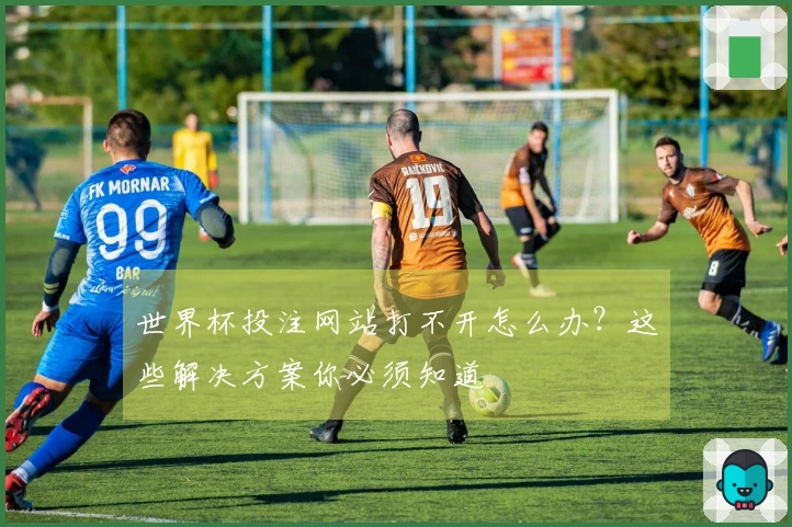 世界杯投注网站打不开怎么办？这些解决方案你必须知道