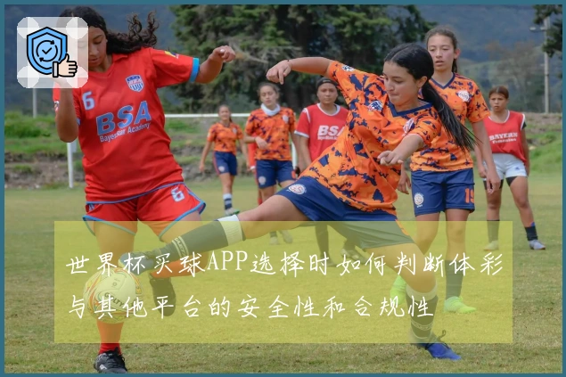 世界杯买球APP选择时如何判断体彩与其他平台的安全性和合规性